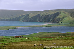 Fetlar, Shetland © Patrick Dieudonn&eacute; Photo, www.patrickdieudonne.com, all rights reserved